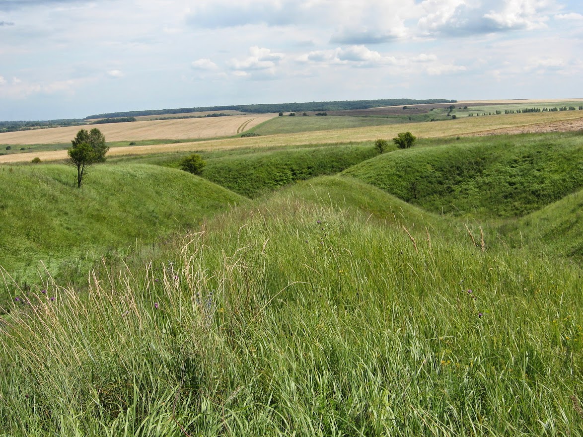 Краснопілля (Сумська обл.)
