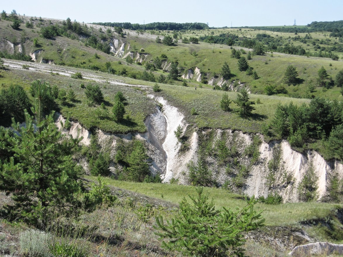 Крейдяна Флора (Донецька обл.)